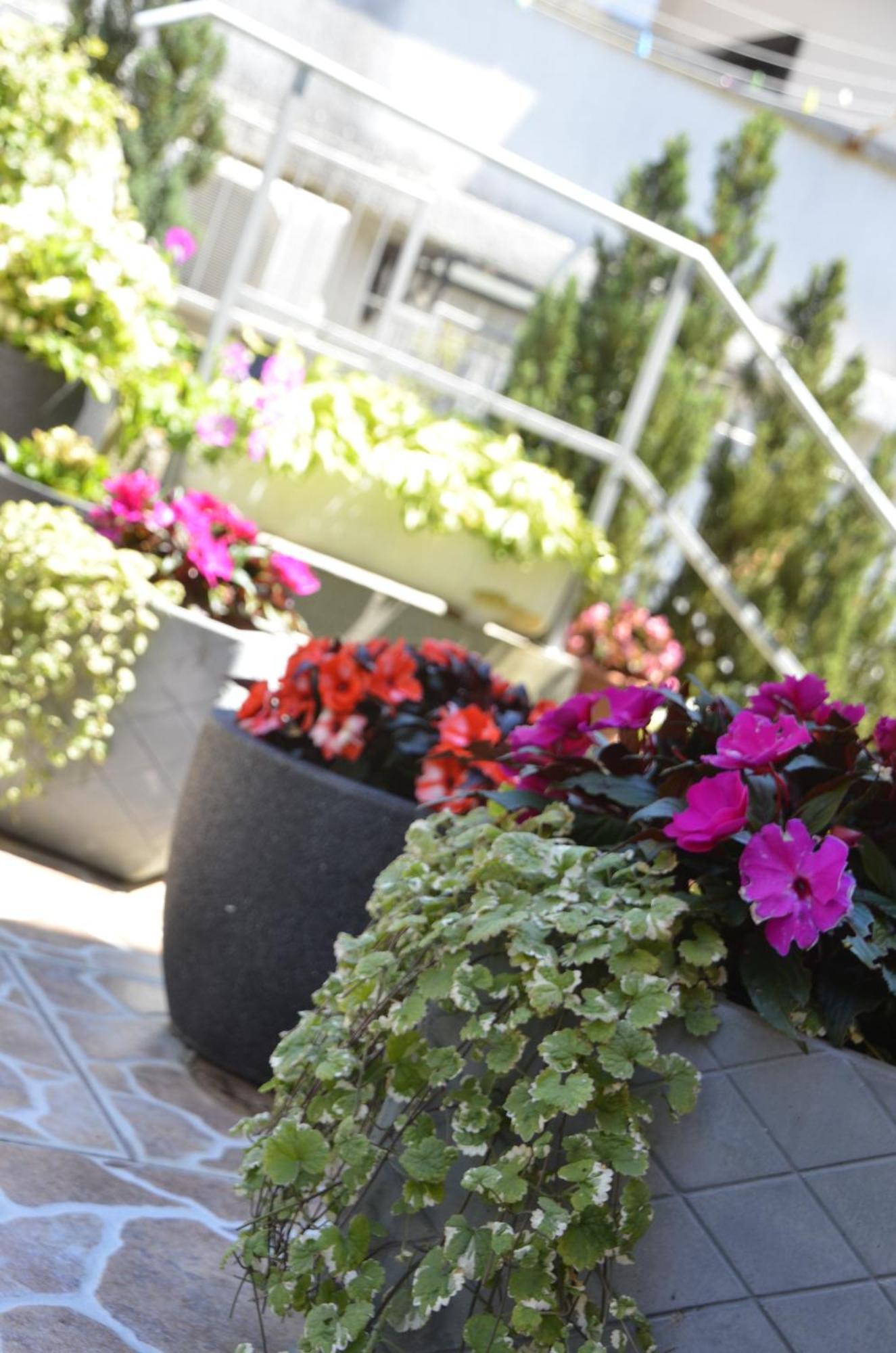 Lilly - Apartamento Rijeka