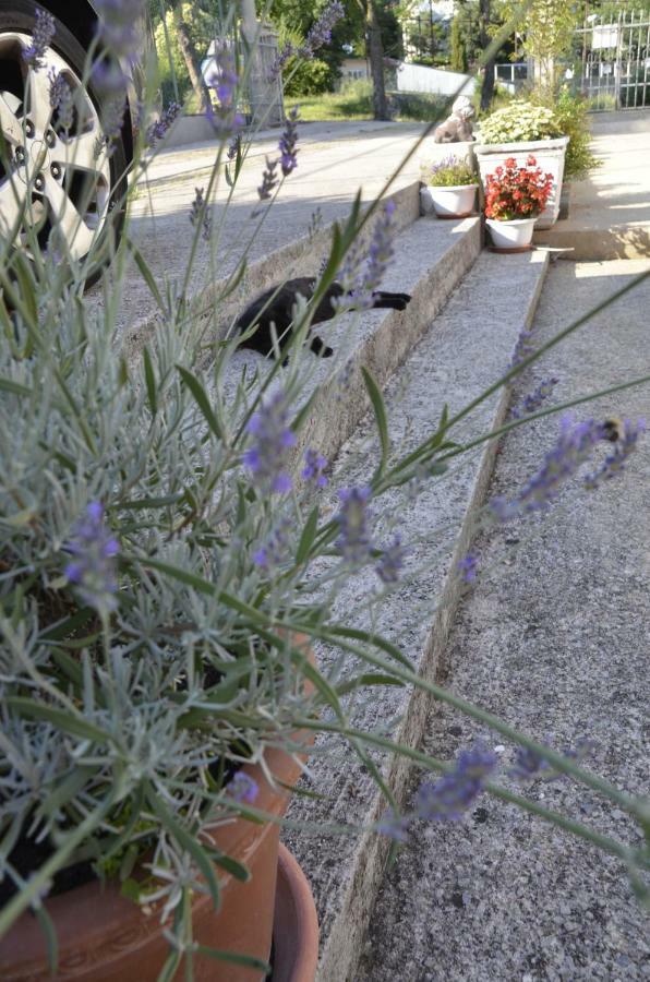 Lilly - Apartamento Rijeka