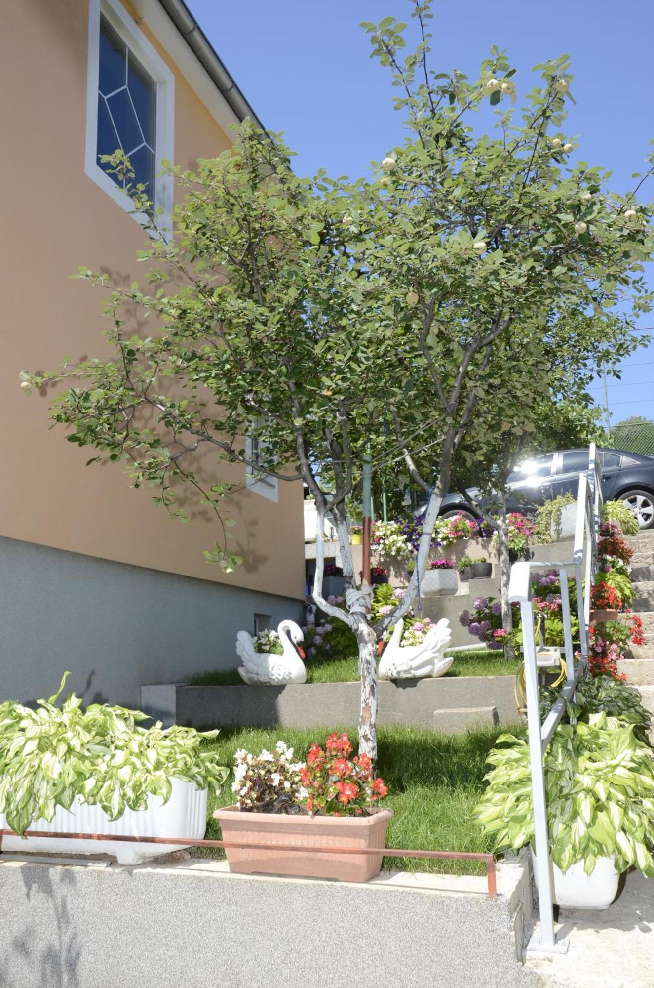 Apartment Lilly -